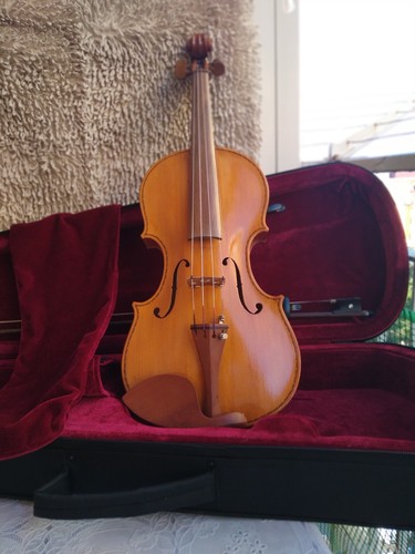 Violino con etic - 4/4, "mod