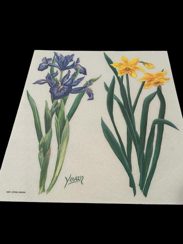 Vintage tatouage yovan dry - vintage,