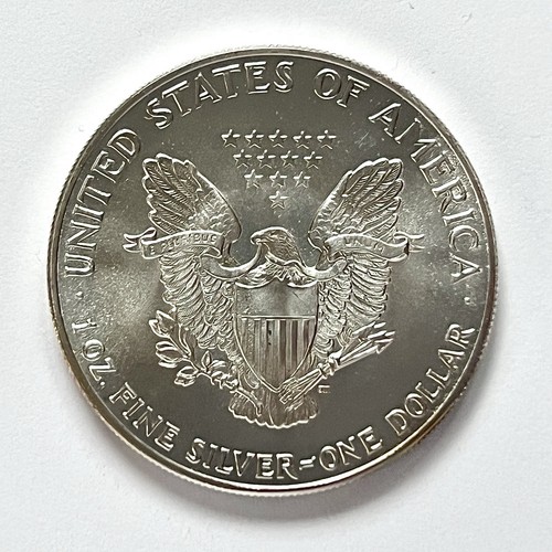 Dollaro 1987 american eagle - 1987,,