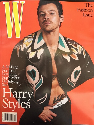 Harry styles magazine - w,
