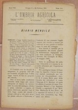 L'UMBRIA AGRICOLA 15 28 FEBBRAIO 1890 VINO BARLETTA PUGLIA GELSO MULBERRY TREE