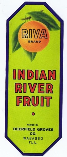 Marca riva indian river - marca,