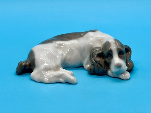 Llado mini cocker spaniel - llado,