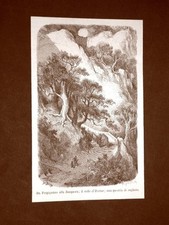 Incisione Gustave Dorè del 1874 Colle di Pertus Quercia sughero Spagna Davillier