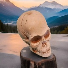 Teschio Polvere Di Marmo Anno