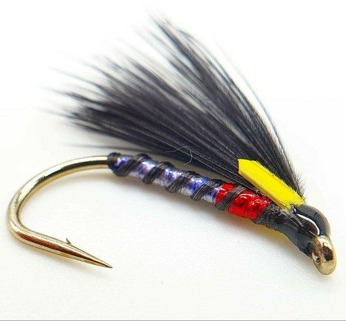 Cormorano gola taglio - , uv