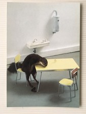 Carte Postale   MAURIZIO