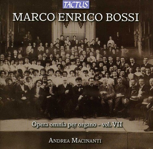 Andrea macinanti opera - ,