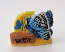 Fava - Farfalla Azzurra Del Serpolet Del Centro Della Francia ..... (Rif. 2463)