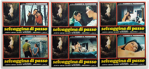 6fb 50x70 selvaggina - 6fb, di