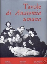 Tavole anatomia umana 24 - tavole,