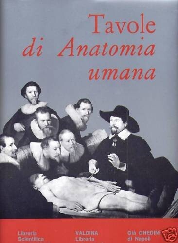 Tavole anatomia umana - di,
