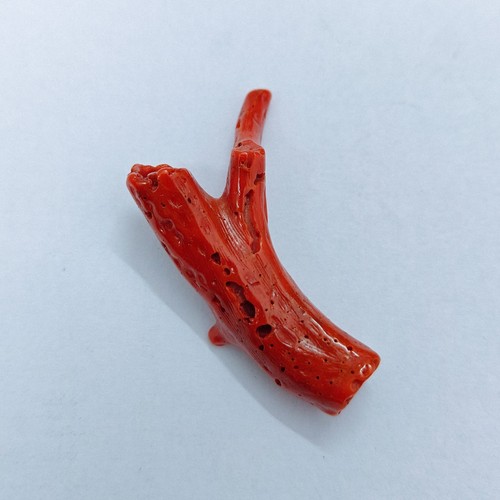 Ramo corallo rosso italiano - ramo,