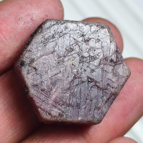 Cabochon custode dischi - , rubino