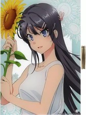 Supporto acrilico/pannello