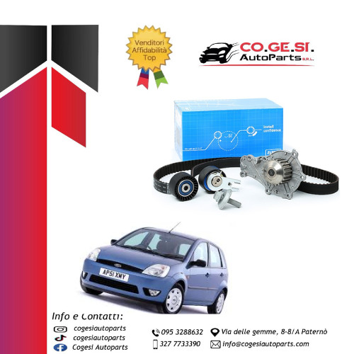Kit distribuzione pompa - distribuzione, +