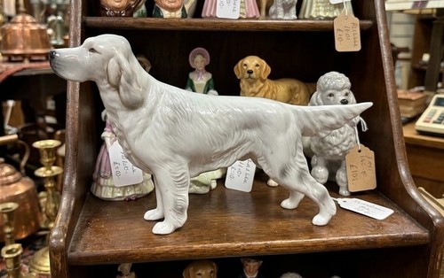 Rara statuina cane grigio
