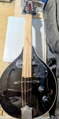 Mandolino acustico elettrico - mandolino, acustico/elettrico