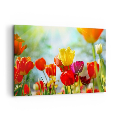 Quadro tela 120x80cm - su,