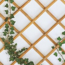 Traliccio 180x240 bamboo - 180x240,