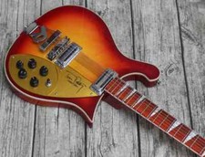 Chitarra elettrica 12 corde