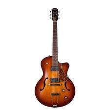Godin 6 corde chitarre