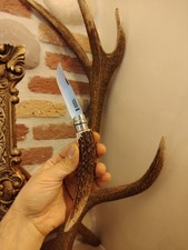 Coltello Opinel N 8 In Palco