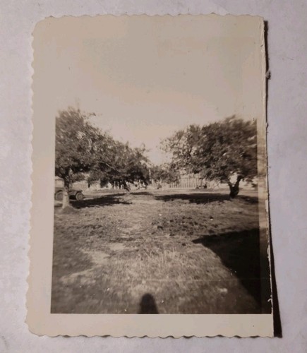Foto vintage saco 1940s - foto, me