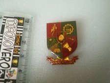 Distintivo PIN badge spilla judetul botosani stema romaniei Romania comune sport