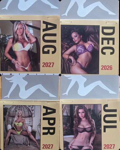 2027 ragazze lingerie - in, mini