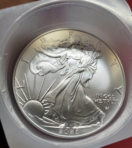 2026 usa dollaro american - ,