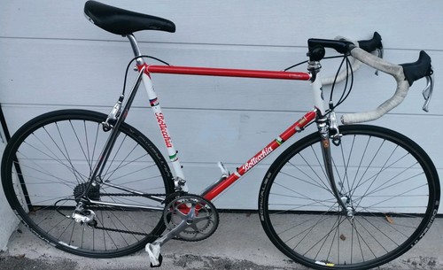 Bottecchia equipe campagnolo - bottecchia,