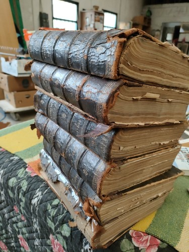 Volumi enciclopedia dei - n.6,