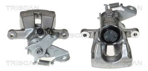 Pinza freno triscan - freno,