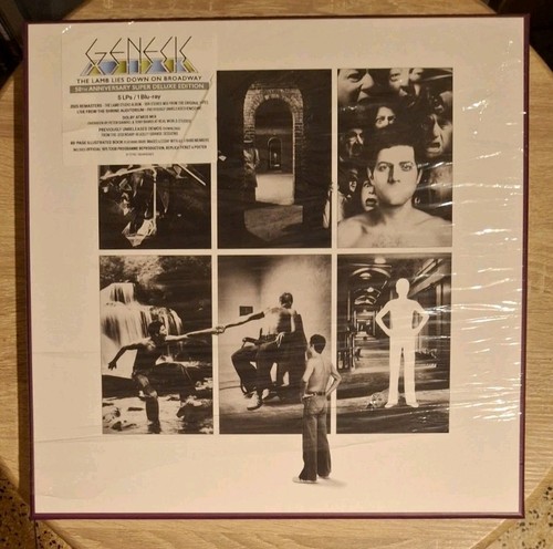 Genesis the lamb - down, on