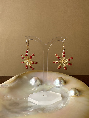 Orecchini argento 925 - argento,