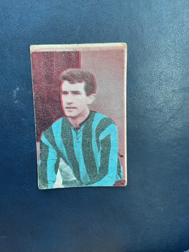 Figurina calciatori nuzzi - figurina,