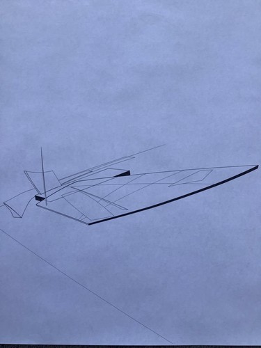 Rara stampa zaha - hadid, b/n