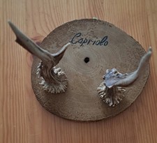 Corna Di Capriolo Appendibile