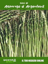 50 Semi di Asparago Argenteuil