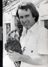 Foto vintage Uccelli