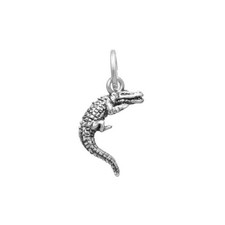 11165 Charm in Argento 925