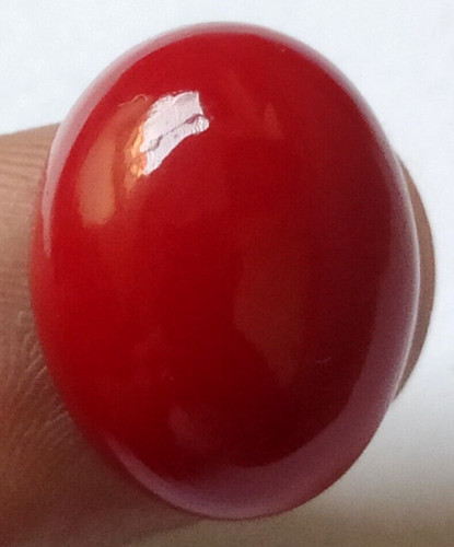Corallo rosso - 32,65, ct.