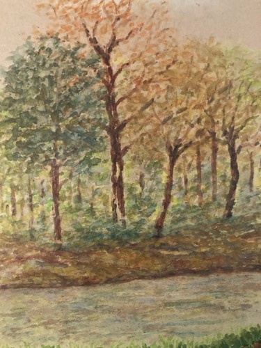 Bella pittura guazzo - bella,