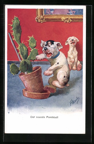 Cartolina ultimo punchball - cartolina,