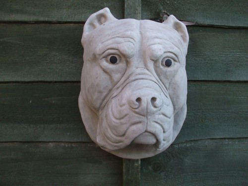 Big stone cane corso pitbull - stone,