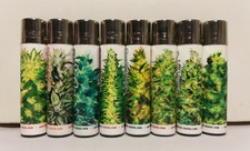 ACCENDINI CLIPPER PARADISE