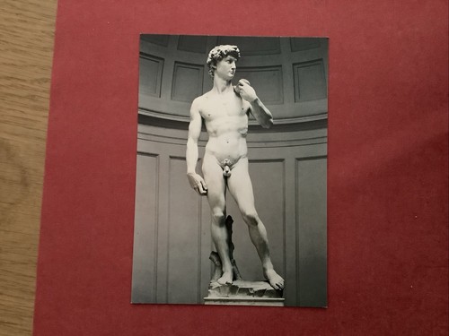 Cartolina david - david, (1501-04)