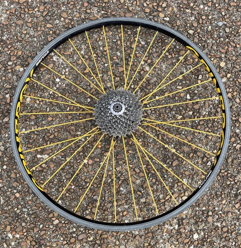 Ruota posteriore corsa - posteriore,