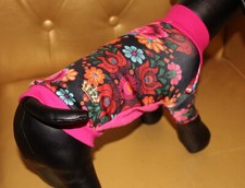 2133_Angeldog_Abbigliamento